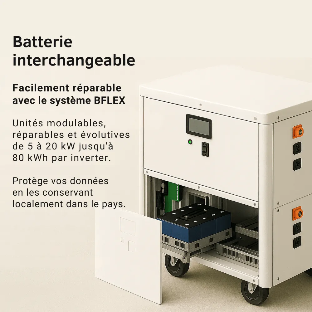 Batterie interchangeable (1).webp